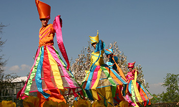 Color Dancers